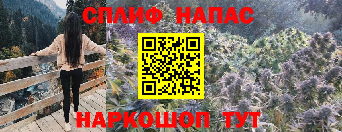 МАРИХУАНА сатива Протвино